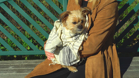 Turkish Towel for Dogs