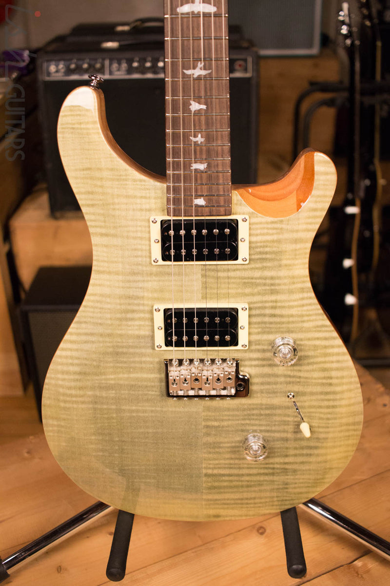 Paul Reed Smith PRS SE Custom 24 Trampas Green – Ish Guitars