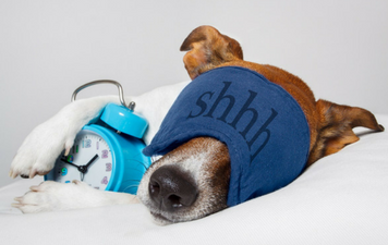 25 Fun Facts about Sleep