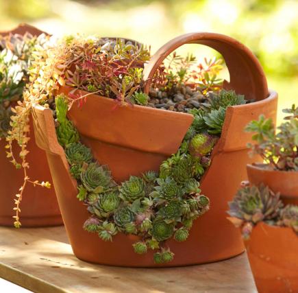 Broken Flowerpot Garden