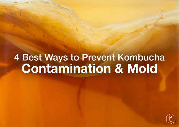 Prevent Kombucha Contamination & Mold