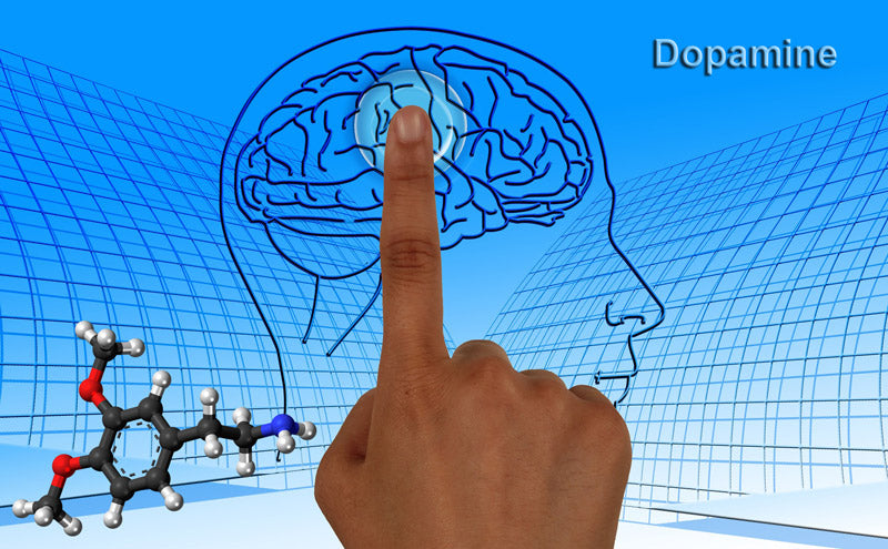 Dopamine and Addiction