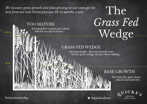 Grass fed wedge