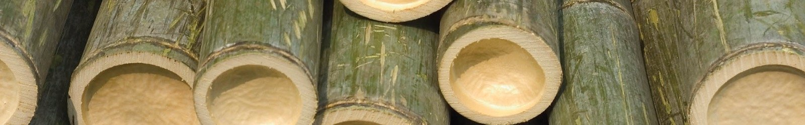 Tanya maria Bamboo Process