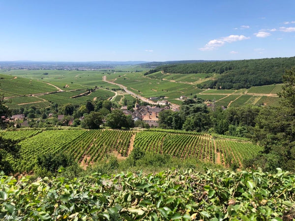 View from Pernand Vergelesses over the Cotes de Beaune