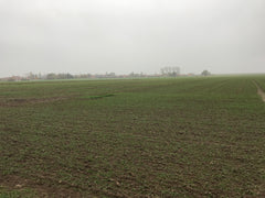 Clay fields looking towards Harbonniers, the scene of fierce fighting and trench warfare during W
