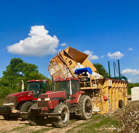 Boll Buggy into Module Maker, Cotton Harvest, Boll Buggy