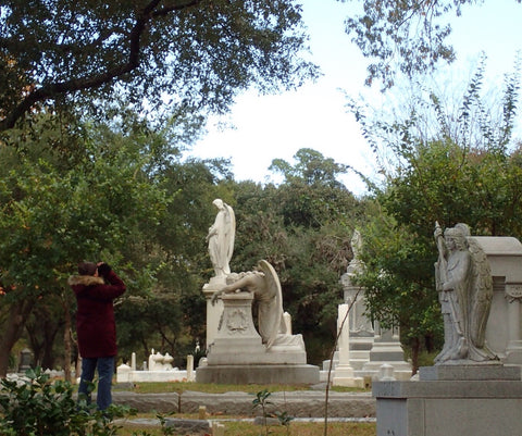 2017 Christmas Bird Count, Glenwood Cemetery, 