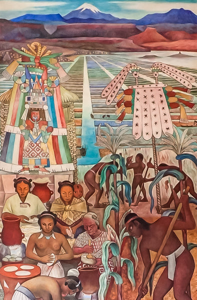 Chinampas, Aztec Empire, floating gardens, Diego Rivera Mural, Palacio Nacional, History of Mexico City, National Palace, Diego Rivera, Xochimilco