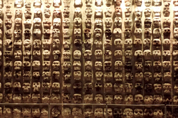 The Great Pyramid of Tenochtitlan Museum, Wall of Skulls, Templo Mayor, Mexico City