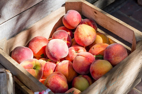 Peach Harvest, The Botanical Journey