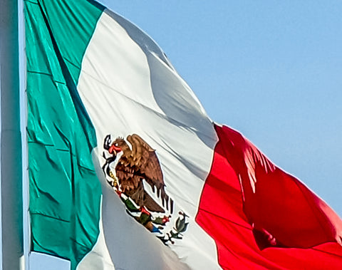 Mexican Flag, La Bandera de Mexico, Mexican Eagle on Cactus, Symbol of Mexico, Mexica Symbol, Mexico City