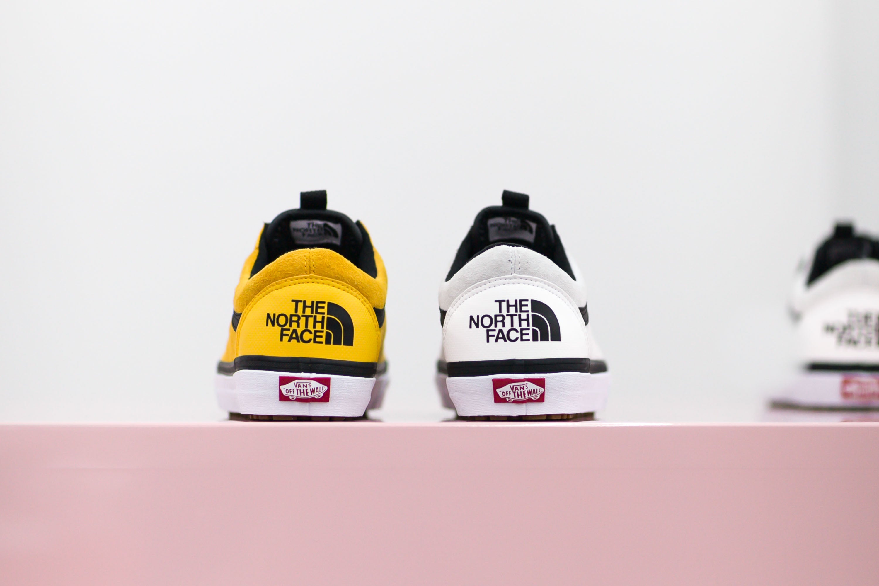 Vans x The North Face