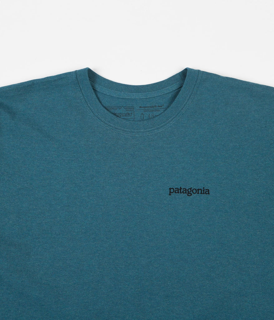 teal patagonia shirt