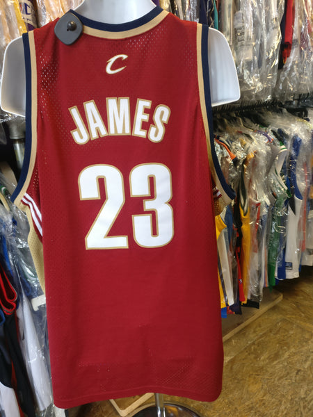 lebron jersey 3xl