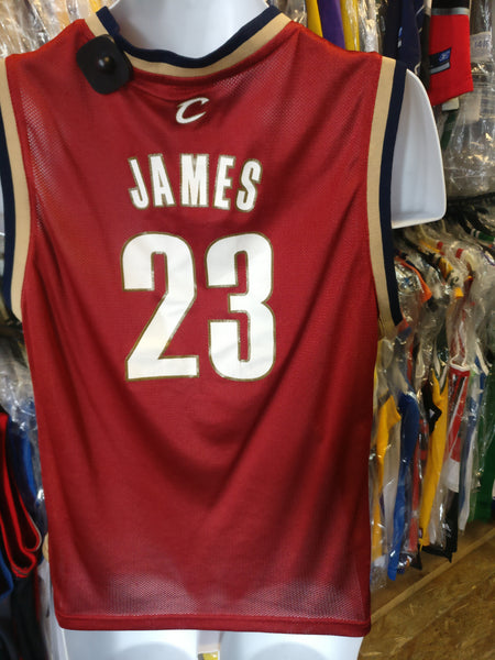 lebron vintage jersey