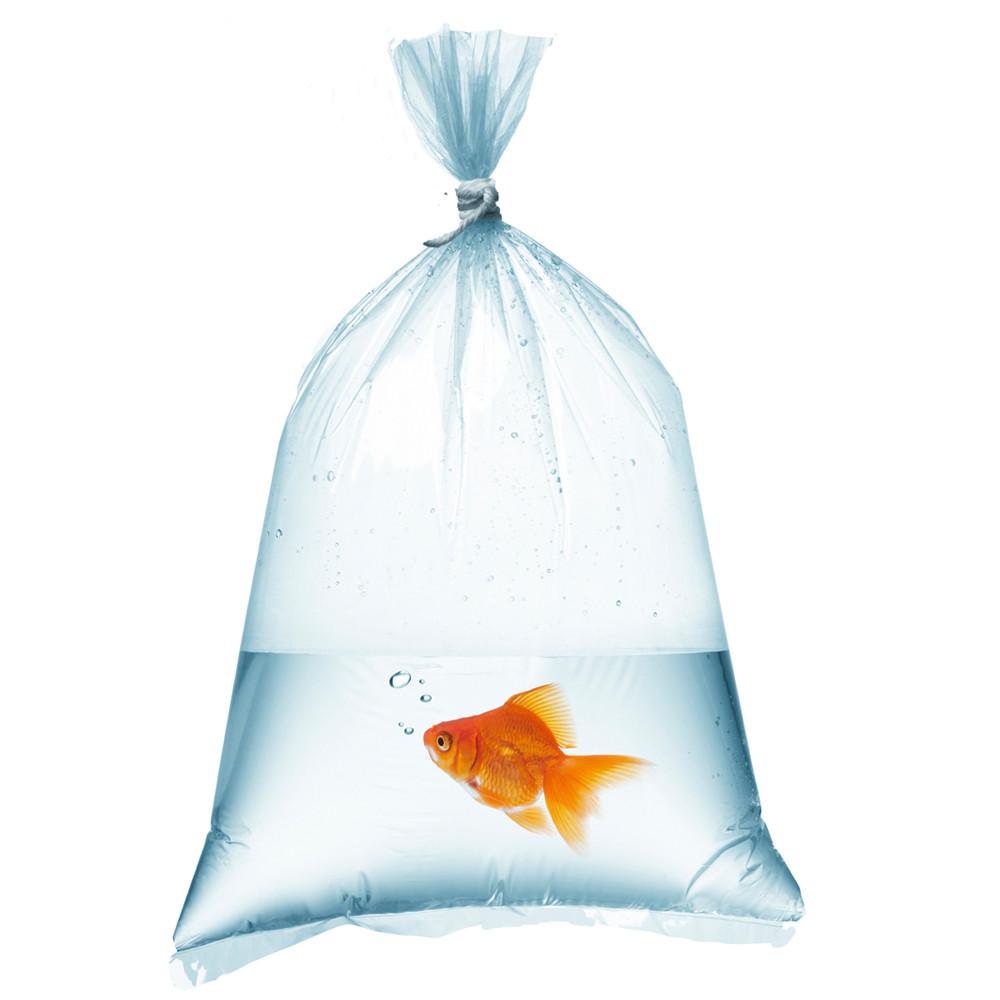 Plastic Shipping Bags 2mil – Your Fish 