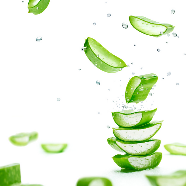 11 Little Known Benefits Of Aloe Vera