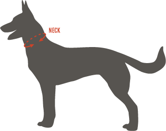 modern icon neck measurement diagram 