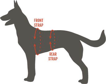 Modern Icon Tracking Harness measurement picture 