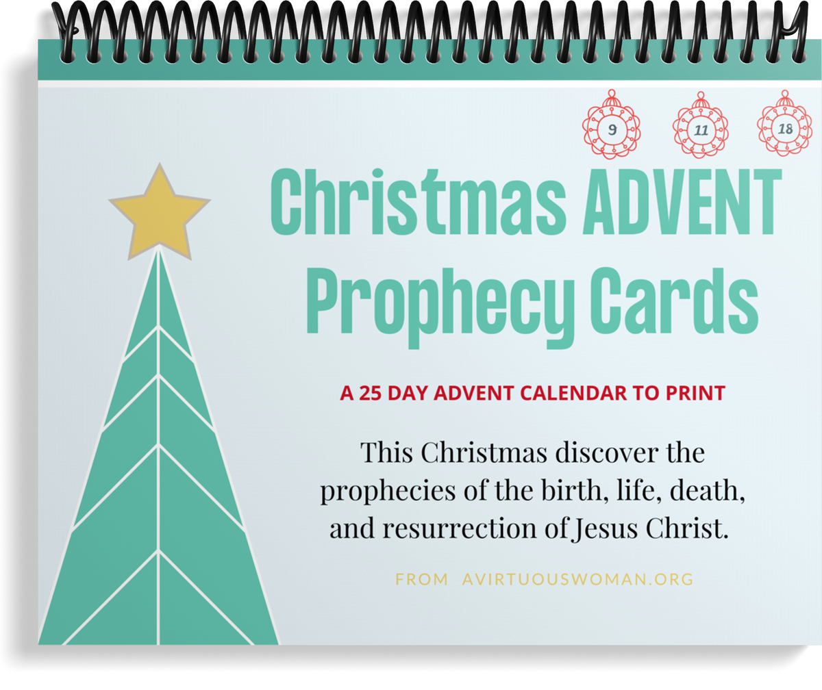 Prophecy Advent Scripture Cards 25 Day Advent Calendar Purpose 31