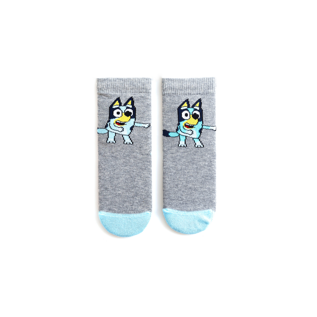 bluey-socks-kids-and-adult-socks-roy-s-boys