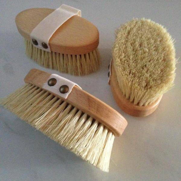 dog brush nz