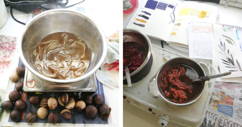 Natural dyeing with avocado and cochineal