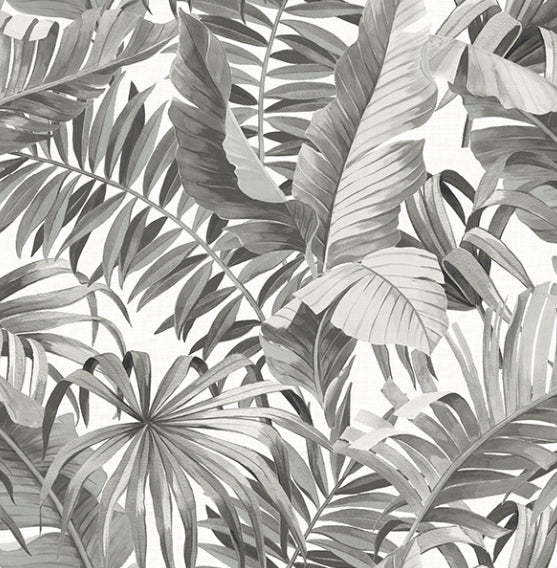 Black Grey Palm Banana Leaf Wallpaper – wallcoveringsmart