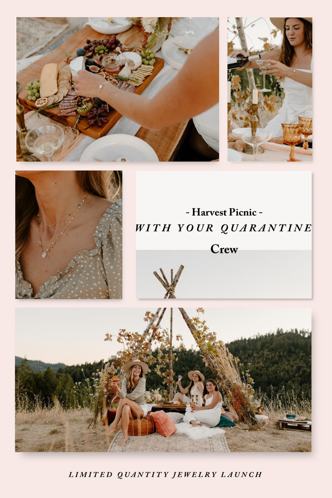 harvest picnic in covid 