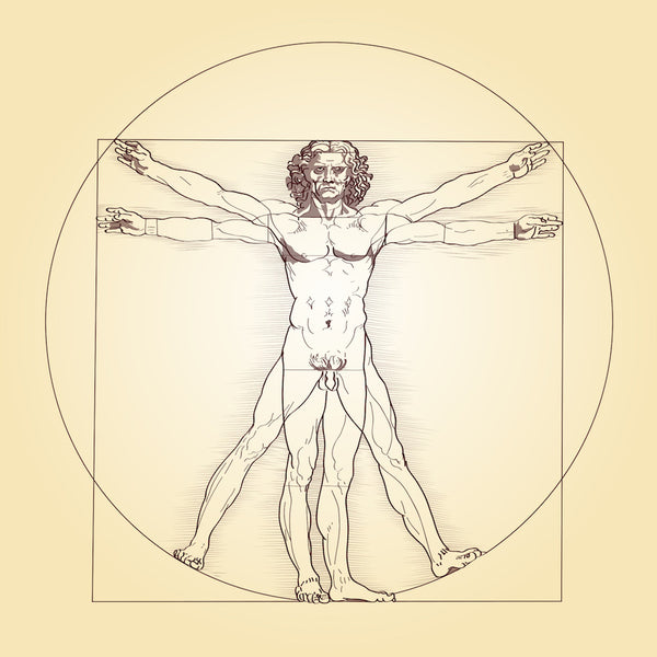 The Vitruvian Man by Leonardo da Vinci