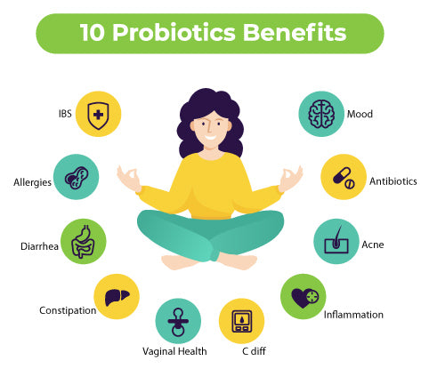 How Do Probiotics Work to Promote Health Benefits?