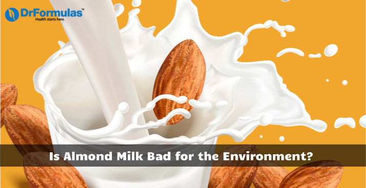 Is Almond Milk Bad for the Environment?
