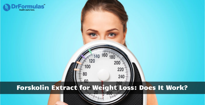 Forskolin Extract for Weight Loss