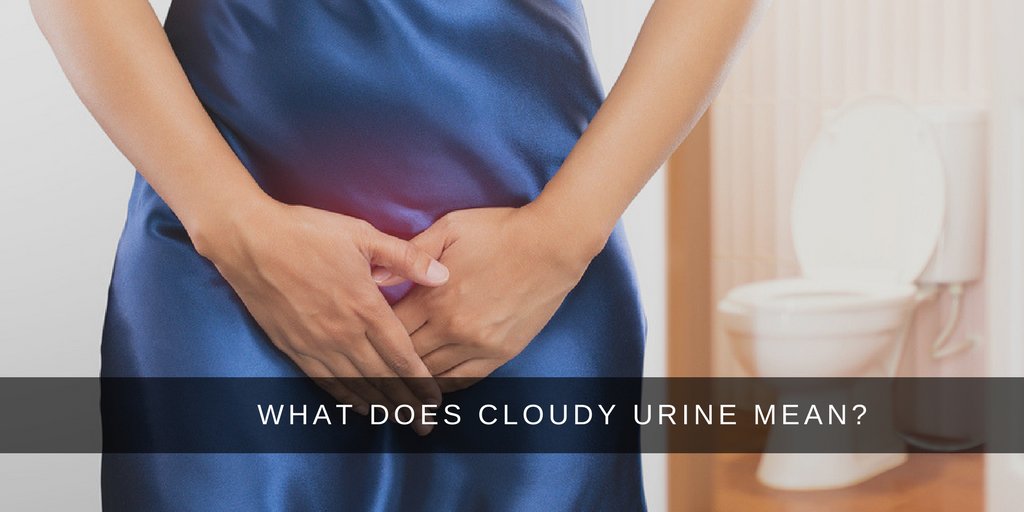 What does Cloudy Urine Mean