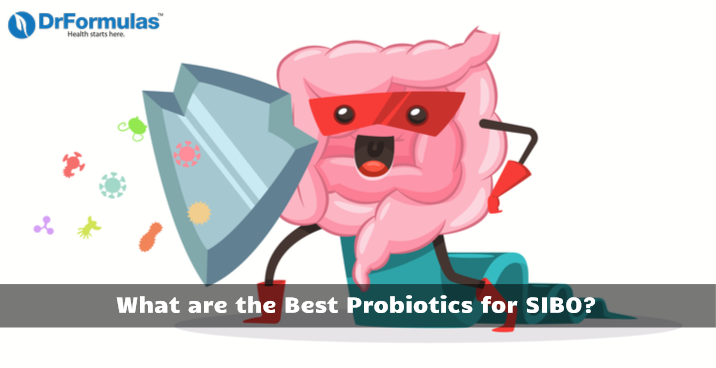 SIBO Probiotics