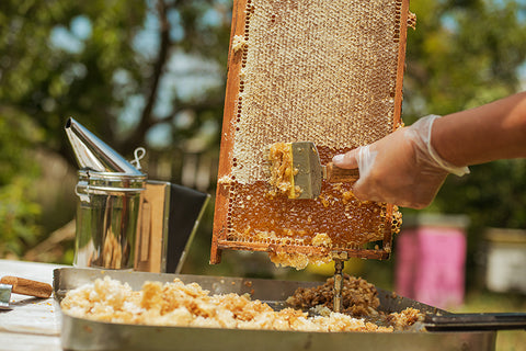 Beeswax and honey are great replacements for the chemical laden products in your life