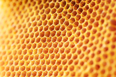 Honey with Honeycomb by Don Victor - Natural Foods