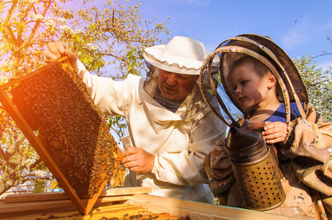 Beekeepers, bees, and honey