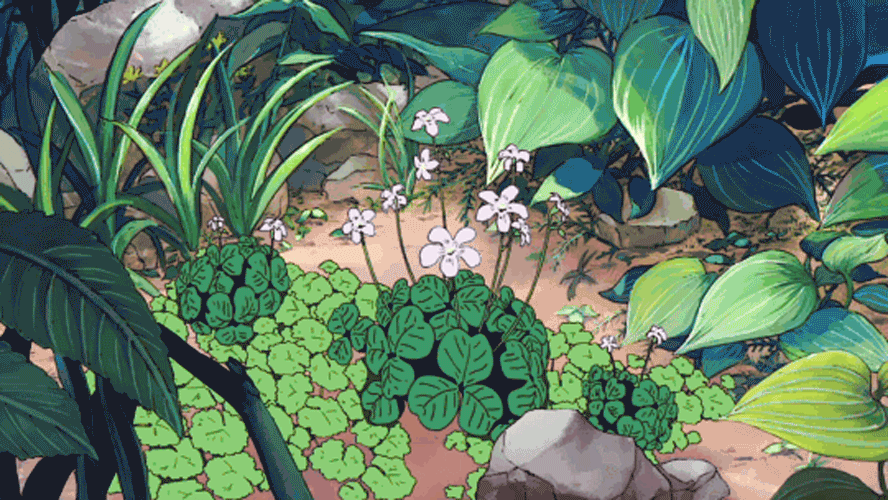 INGREDIENT LOVE: CENTELLA ASIATICA (CICA)