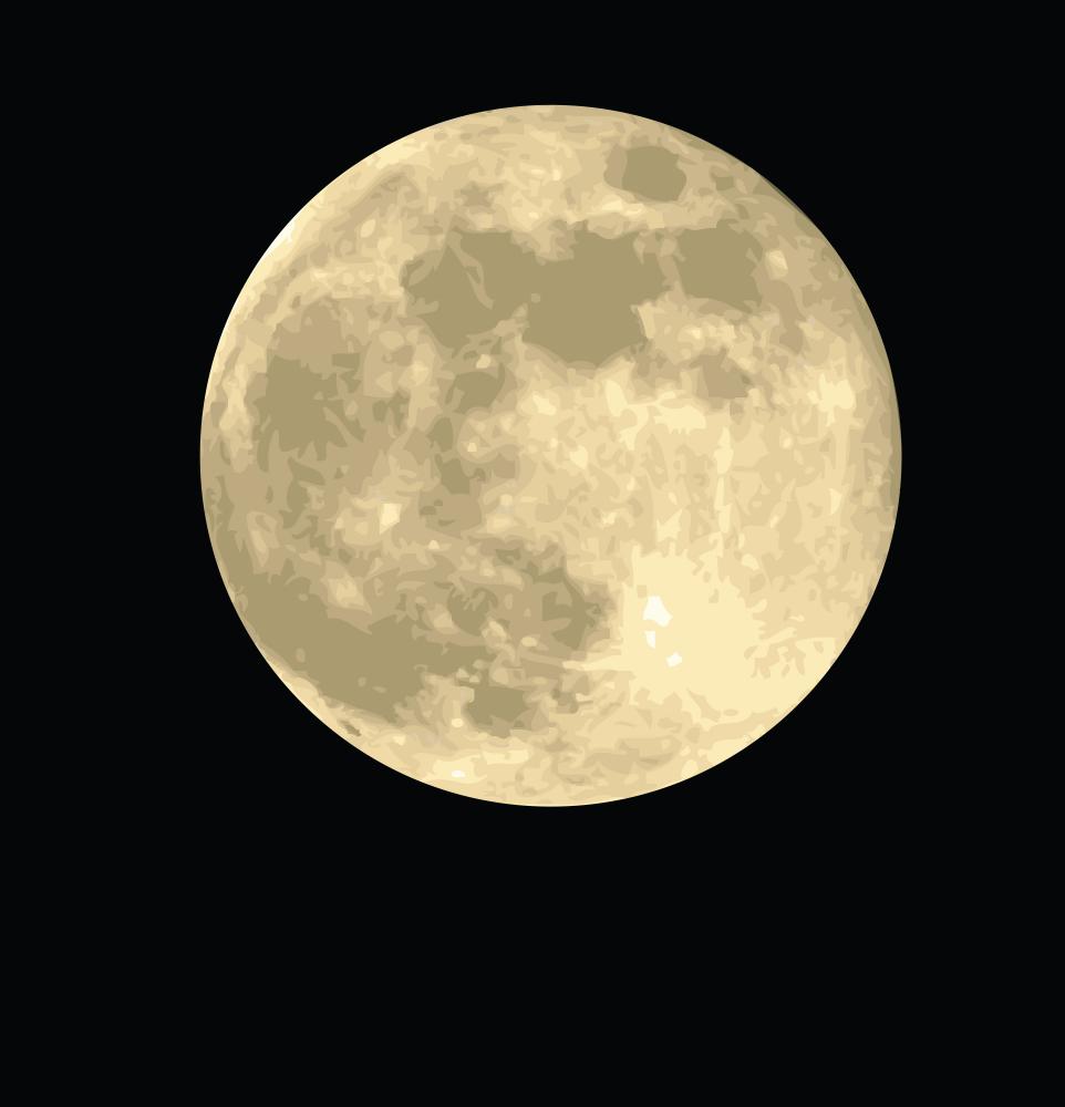 Full Moon Realistic Vector – WallMonkeys.com