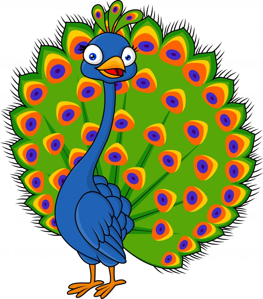 Peacock Cartoon Wall Decal  – Wallmonkeys