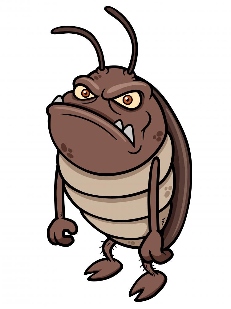 Cartoon Cockroach Wall Decal - WallMonkeys.com