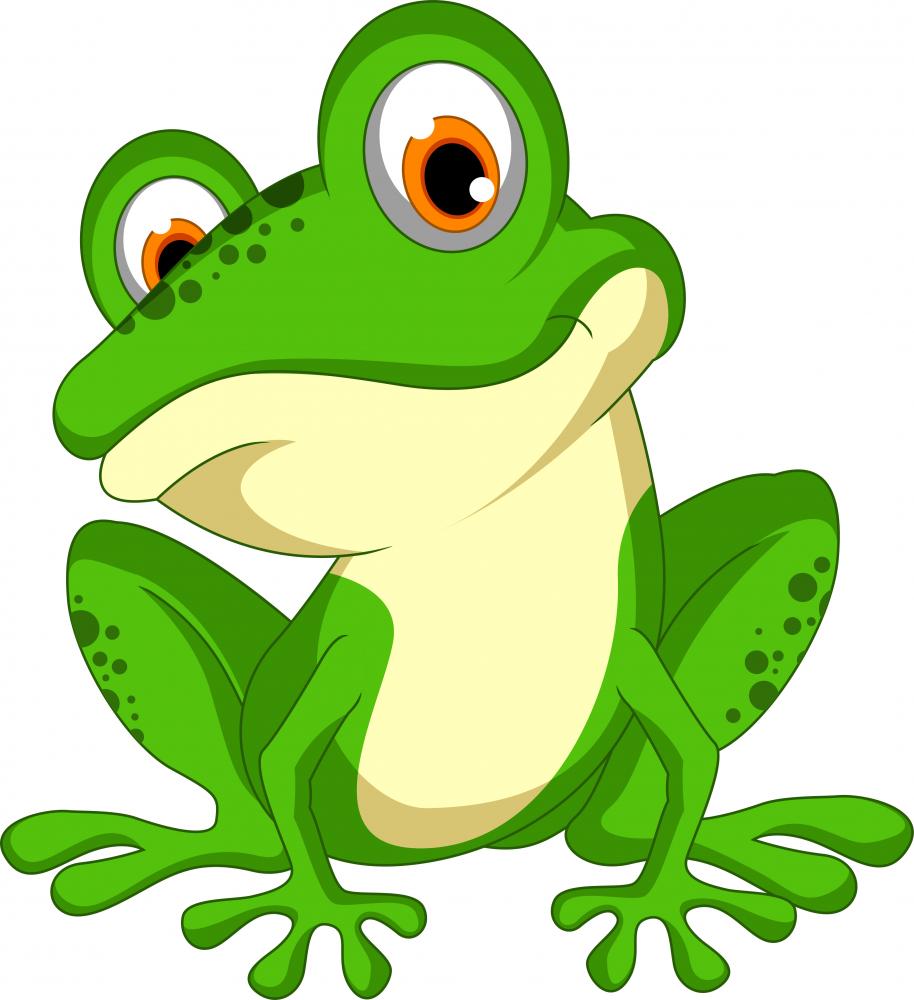 Funny Green Frog Cartoon Wall Decal  – Wallmonkeys