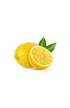 Thompson Alchemists: Oil of Lemon Essential Oil