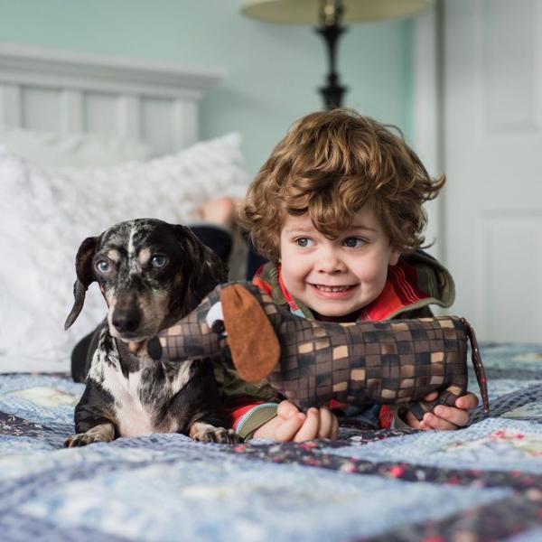 dachshund stuffed animal