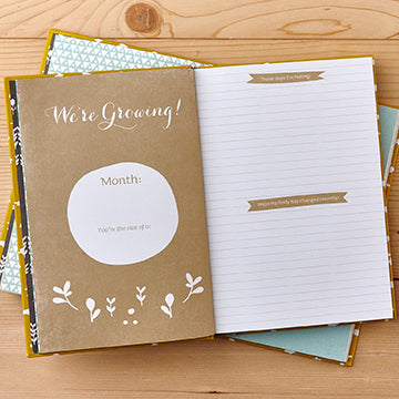 Expecting You A Keepsake Pregnancy Journal Blossom Baby