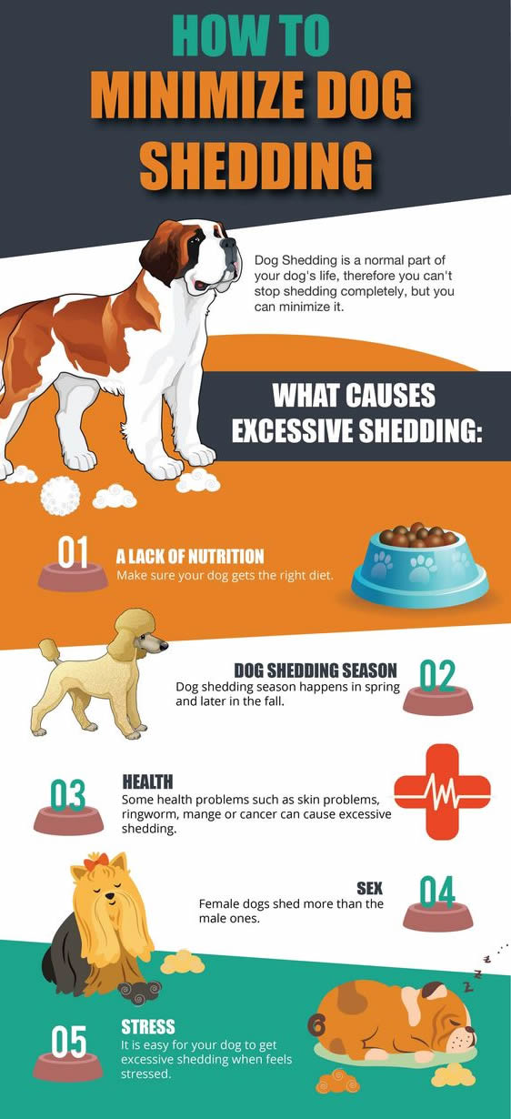 excessive shedding in dogs