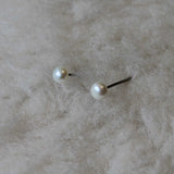 White Freshwater Pearl Niobium Stud Earrings for Sensitive Ears / Metal Allergies