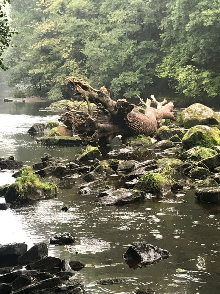 river Ure